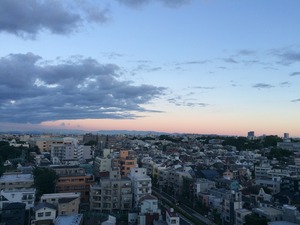 IMG_0035