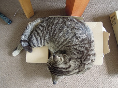blog30