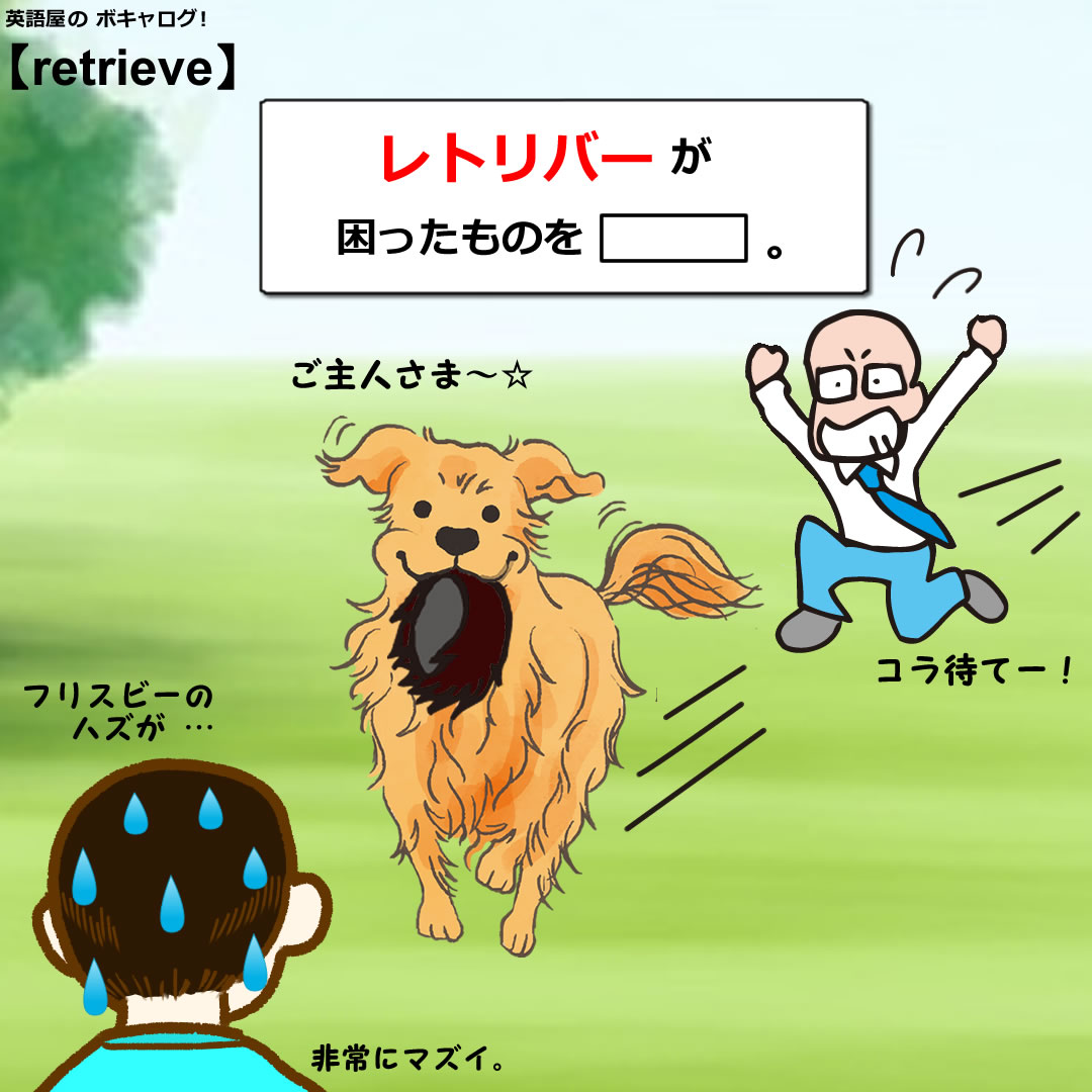 retrieve_Mini