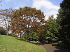 conv0010