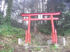 conv0001