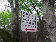 conv0051