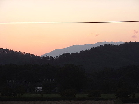 conv0010