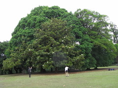 RIMG0188