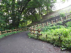 conv0007