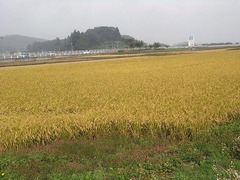 conv0018