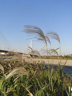conv0010