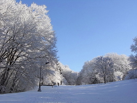 conv0014