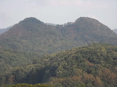 conv0008