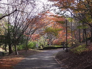 conv0002