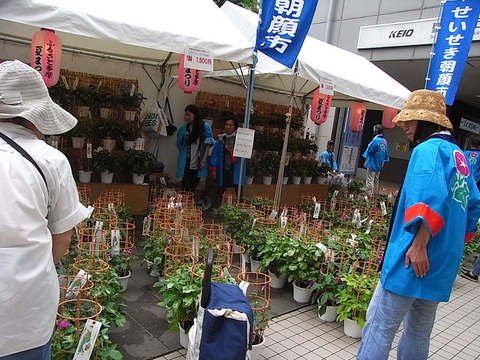 conv0017