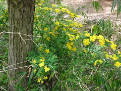 conv0004