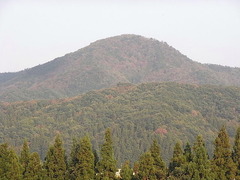 conv0006