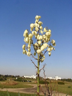 conv0013
