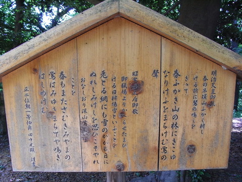 conv0016