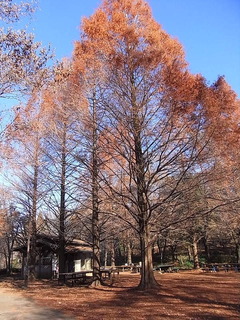 conv0028