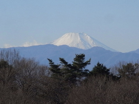 conv0006