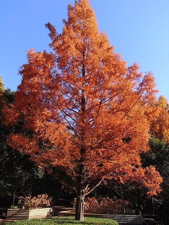 conv0008