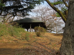 conv0013