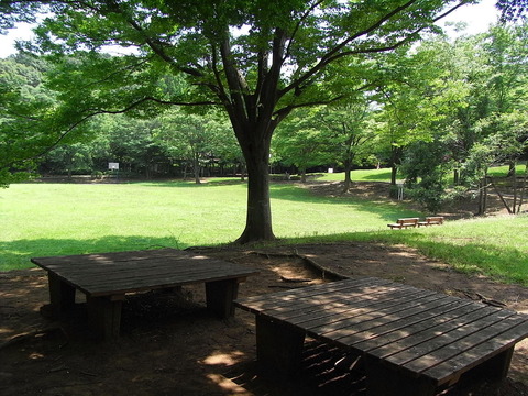 conv0012