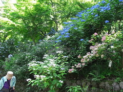 conv0017