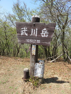 conv0029