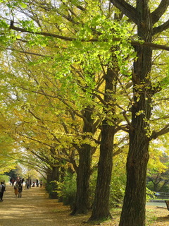 conv0023