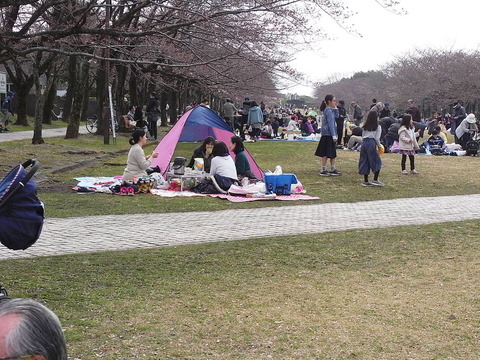 conv0011