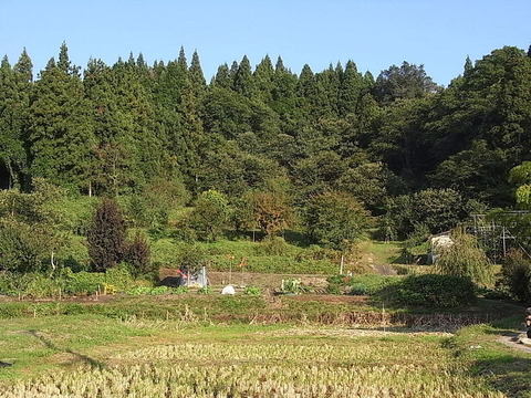 conv0013