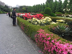 RIMG0173