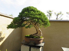 conv0021