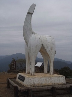 conv0022