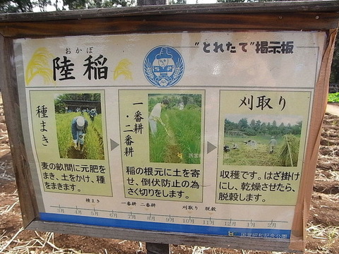 conv0014