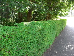 conv0009