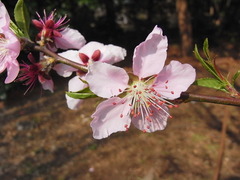 conv0027
