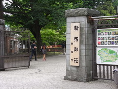 RIMG0203