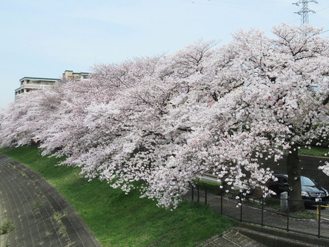 conv0028
