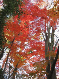 conv0022