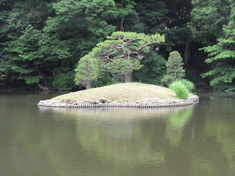 RIMG0064