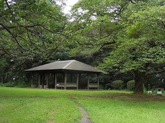 conv0008