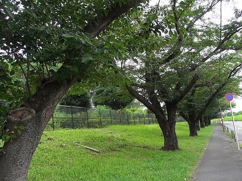 conv0012