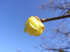 conv0008