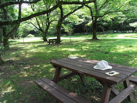 conv0010