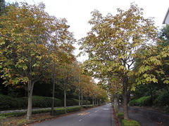conv0006