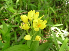 RIMG0064