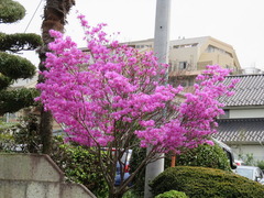 conv0006