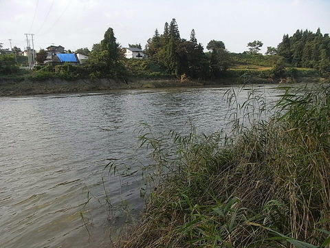 conv0004