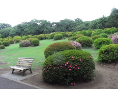 RIMG0117