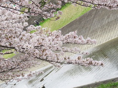 conv0014