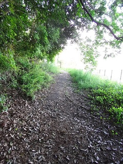 conv0039